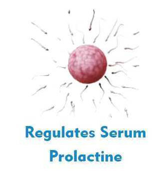 regulates-serum